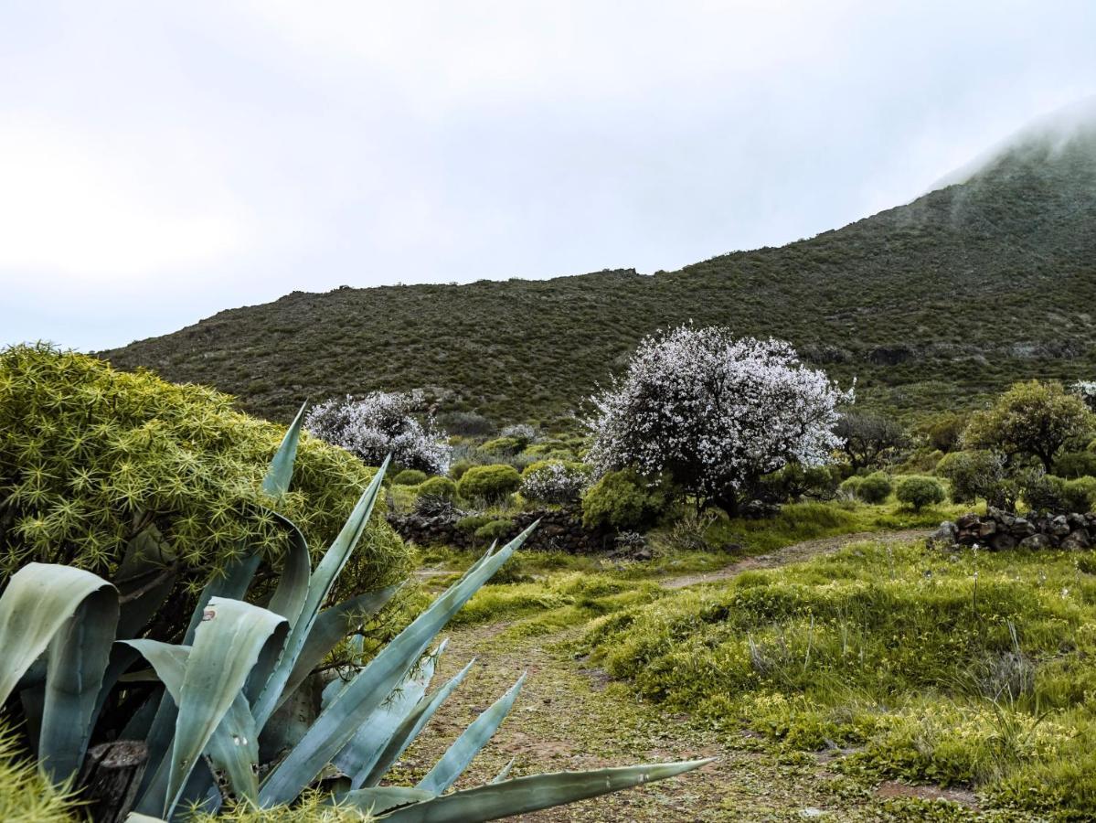 Luxury Villa In Nature With Swimming Pool Tenerife, Santiago Del Teide, With Sea And Mountain Views El Retamar Экстерьер фото